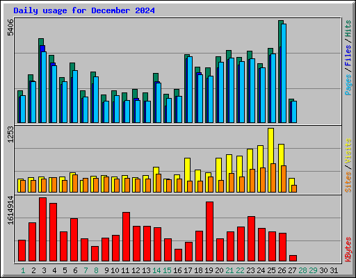 Daily usage for December 2024