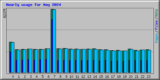 Hourly usage for May 2024
