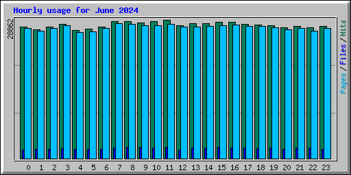 Hourly usage for June 2024