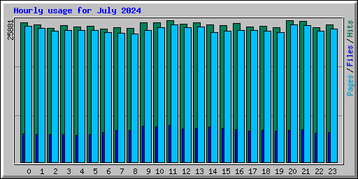 Hourly usage for July 2024