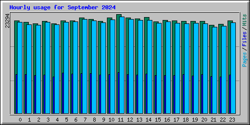 Hourly usage for September 2024