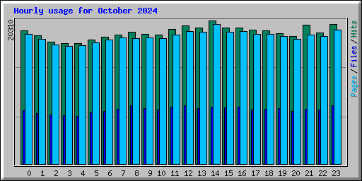 Hourly usage for October 2024