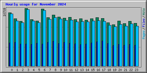 Hourly usage for November 2024