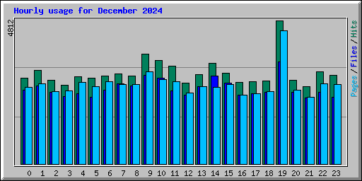 Hourly usage for December 2024